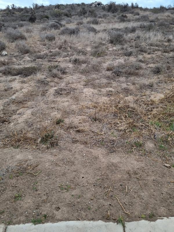 0 Bedroom Property for Sale in Saldanha Rural Western Cape